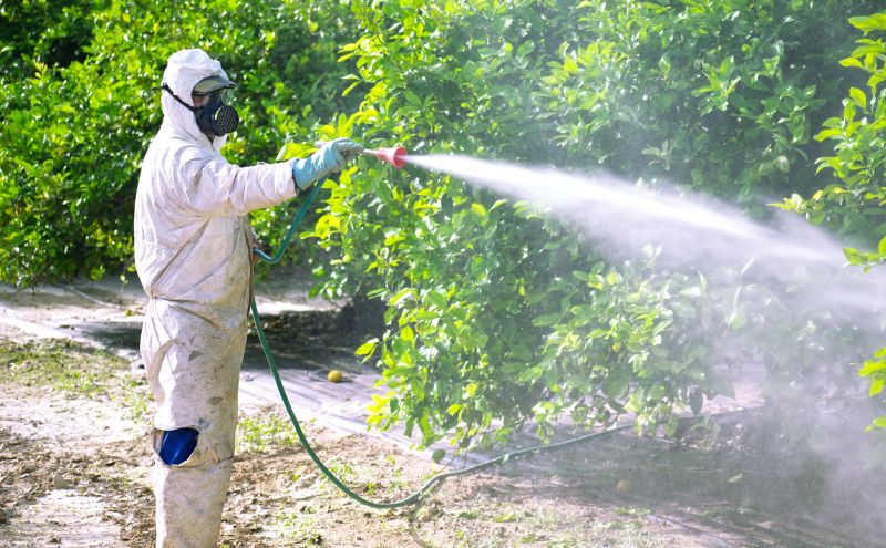 Residential Fumigation in Ann Arbor, MI