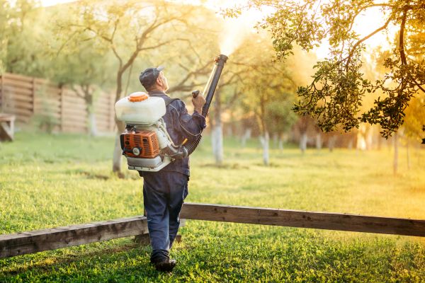 Yard Pest Management