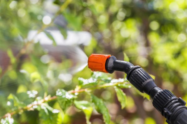 Lawn Insect Spraying Service